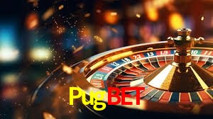 Security Systems Pugbet
